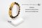 24K Twin Abacus PiXiu Tiger's eye Ep.07 Bracelet