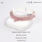 Strawberry Quartz + Pearl Ep61 Bracelet