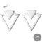 CCE03 Silver925 Earrings