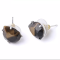 Tiger eye Earrings