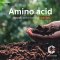 กรดอะมิโน  Amino Acid Powder อะมิโน แอซิด (อะมิโนพืช)