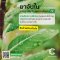 ยาจับใบ สารเพิ่มประสิทธิภาพ (Maggard)