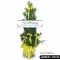 พวงหรีดต้นไม้ LTR 03 แสงธรรม ตกแต่งริบบิ้นสีเหลือง ต้นไทรเกาหลีสูง 120 ซม.