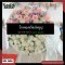 SPL 006