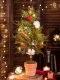 ต้นคริสมาสต์พร้อมกระถาง,ไฟ+ของตกแต่งประดับ X'mas Tree Pot Korea Style แบบตั้งโต๊ะ