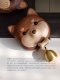 กระดิ่งติดประตู รูปสุนัขพันธ์ชิบะอินุ Shiba Inu กระดิ่งทองเหลืองเสียงดังกังวานขณะเปิดงาน Handmade