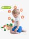 ของเล่นไม้สวนแครอทสำหรับเด็กทารก ของเล่นเสริมพัฒนการทารกรูปทรงสวนแครอทสำหรับเด็ก 6 เดือนขึ้นไป CARROT BABY GARDEN