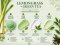 MASSAGE CREAM LEMONGRASS + GREEN TEA