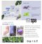 DEAD SEA SALT SOAK LAVENDER + MINT