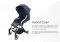 Hybrid - Cabi Gold