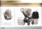 Oyster 2  - สี City Bronze