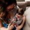 bbluv - Termö 4 in 1 Non-Contact Infrared Thermometer