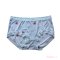Mid Waist Lace Panty by Skinn Intimate