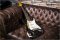 Fender Mastebilt Re1964 Greg Fessler