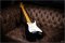 Fender Custom Shop Robin Trower Signature