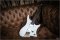 Goc Materia 6st Multiscale Flame Top