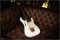 Ibanez Jem Steve Vai Signature 1993