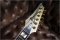 Ibanez Pgm 333 Paul Gilbert 30th Anniversary