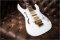 Ibanez Pia 3761 Steve Vai Signature Stallion White