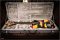 Esp KamiKaze-1 George Lynch Signature