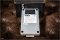 Mini  DJ Ashba Skeleton Wah Limited