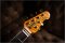Musicman Cutlass Limited 49 Made