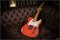 Nash T-65 Custom