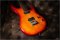 Music Man Steve Lukather iii