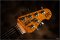 Music Man Steve Lukather iii