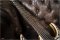 Skervesen Raptor 6 Multiscale
