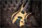 Skervesen Shoggie 6 Multiscale