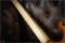 Strandberg Boden Fusion Nx6