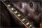 Gibson Tom Doyle  1959 Time Machine #07 Limited