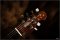 Musicman St. Vincent HHH Signature