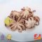 Baby Octopus / Gurita Kecil