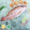 Ikan Kakap Tanda-tanda / Tompel