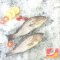 Ikan Kerapu Scrape Meat
