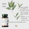 อาหารเสริม นู สกิน ชาเขียวสกัด nu skin pharmanex tegreen97 21