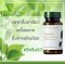 อาหารเสริม นู สกิน ชาเขียวสกัด nu skin pharmanex tegreen97 14