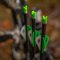 ACU-X 20 Premium Carbon Arrows for Rail-Less Forward Draw Crossbows (6-pack)