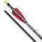 16-inch EVO-X Non-Lighted CenterPunch16 Premium Carbon Crossbow Arrows (6-pack)