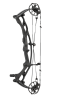 Carbon RX-10