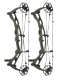 Carbon RX-10