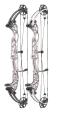 Hoyt Concept XTS 37