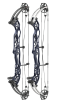 Hoyt Concept XTS 37