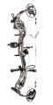 Alaskan Pro RTH Compound Bow