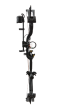 Legit Maxx RTH Compound Bow