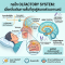 กลไก Olfactory System: เมื่อกลิ่นเดินทางสั้นที่สุดสู่สมองส่วนอารมณ์