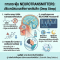 การกระตุ้น Neurotransmitters: ปรับเคมีสมองเพื่อการหลับลึก (Deep Sleep)