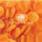Dried Apricot (Sungrains Brand)